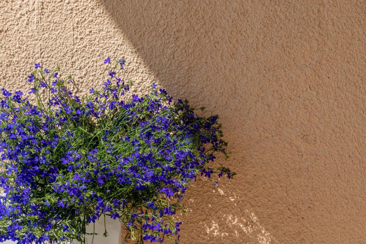 Nue Suites Sassari Exteriér fotografie